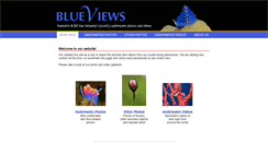 Desktop Screenshot of blueviews.net