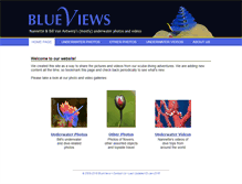 Tablet Screenshot of blueviews.net